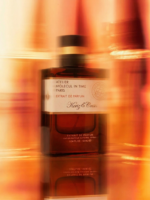 Atelier Molecul in Time – Kris & Crisis